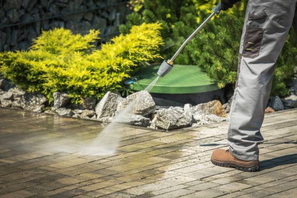 Best Solar Panel Cleaning  in Honeoye Falls, NY