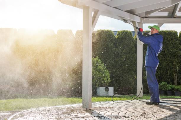 Best Roof Washing  in Honeoye Falls, NY